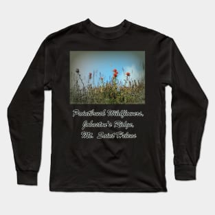 paintbrush wildflowers, Johnston's Ridge Long Sleeve T-Shirt